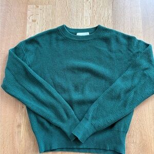 Wilfred Green Sweater